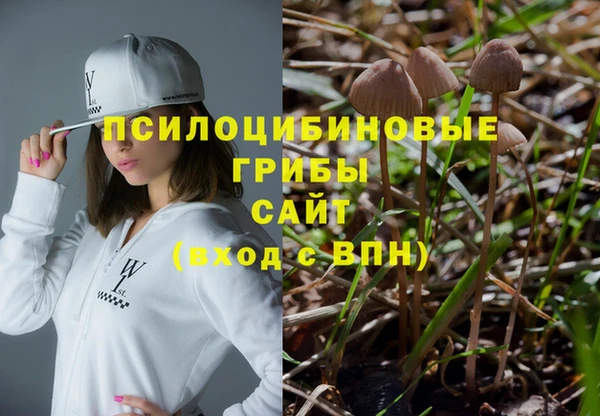 спайс Алексин