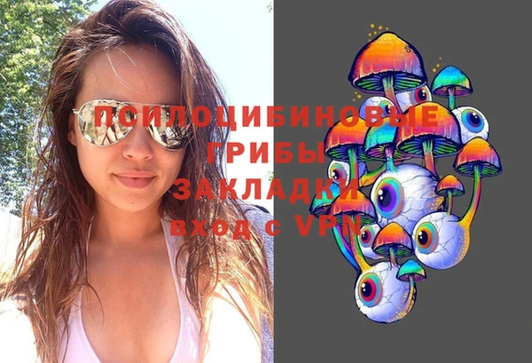 круглые Алзамай