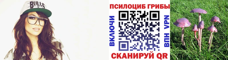 Галлюциногенные грибы Cubensis Чекалин