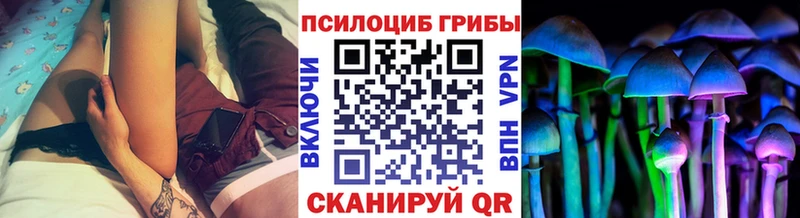 Псилоцибиновые грибы мухоморы  blacksprut вход  Чекалин  как найти закладки 
