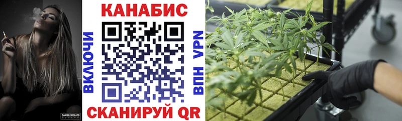 Каннабис конопля  как найти закладки  Чекалин 